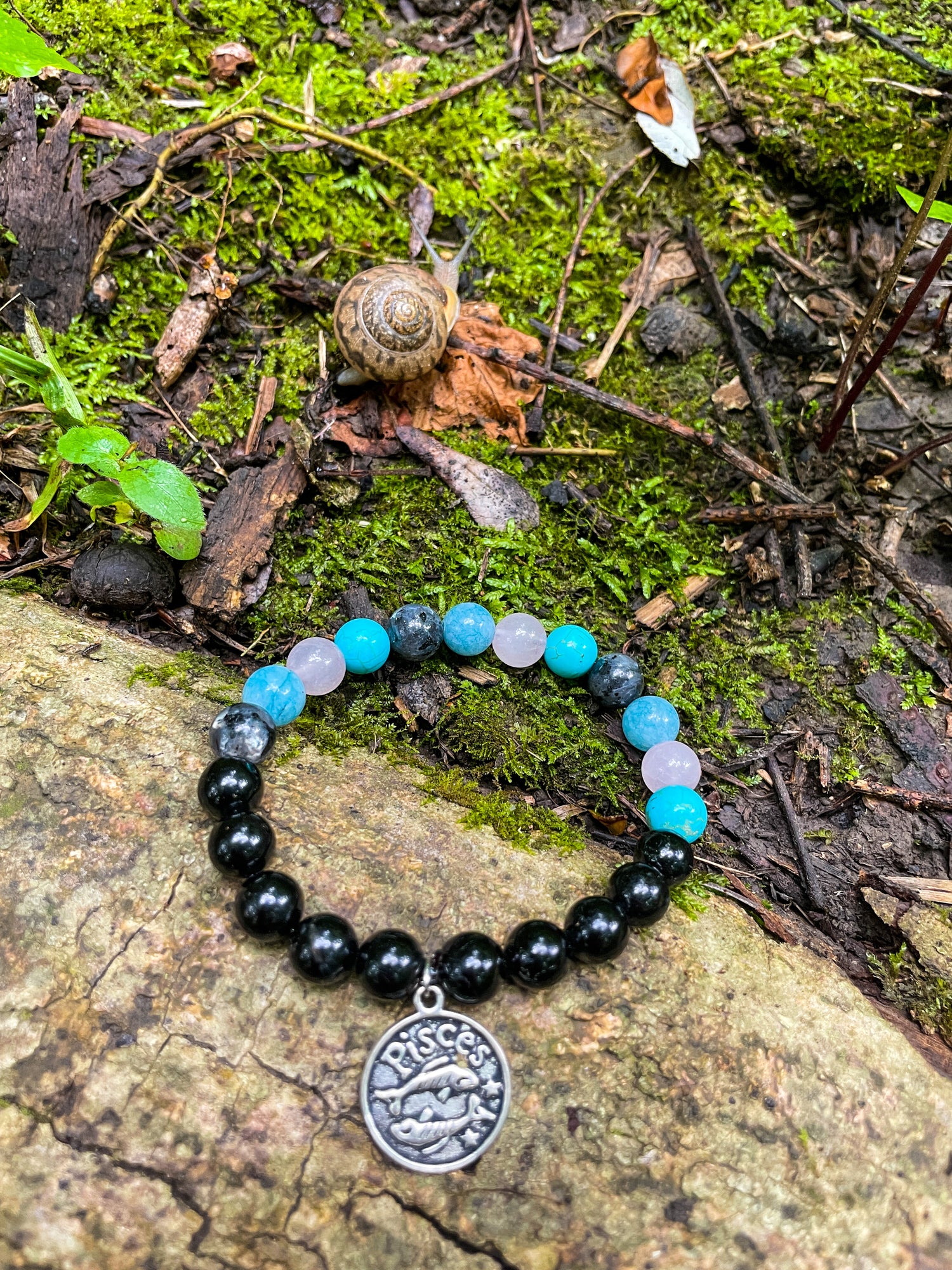 Zodiac/Horoscope Collection
